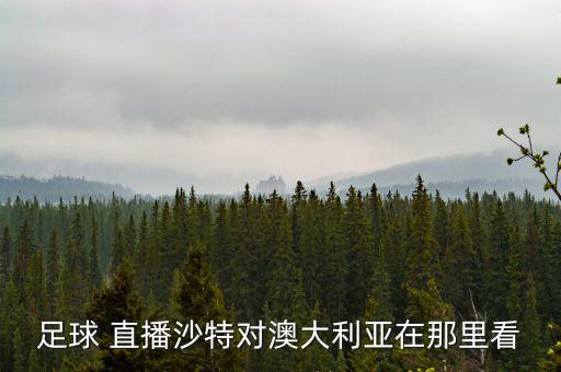 外國足球賽事直播,今年足球世界杯賽事直播時間