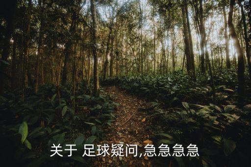關(guān)于 足球疑問,急急急急