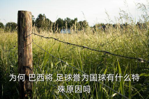 為何 巴西將 足球譽(yù)為國(guó)球有什么特殊原因嗎
