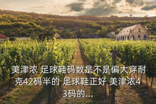  美津濃 足球鞋碼數(shù)是不是偏大穿耐克42碼半的 足球鞋正好 美津濃43碼的...