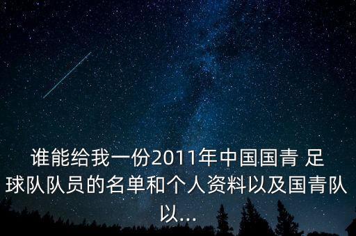 誰能給我一份2011年中國國青 足球隊(duì)隊(duì)員的名單和個(gè)人資料以及國青隊(duì)以...