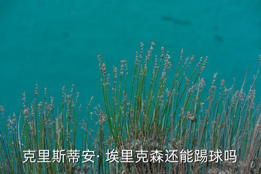 瑞典足球運(yùn)動員埃里克森,丹麥足球運(yùn)動員埃里克森現(xiàn)狀