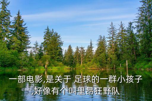 一部電影,是關(guān)于 足球的一群小孩子,好像有個叫里昂狂野隊(duì)