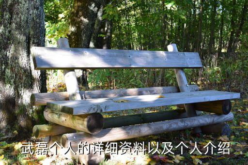  武磊個人的詳細(xì)資料以及個人介紹