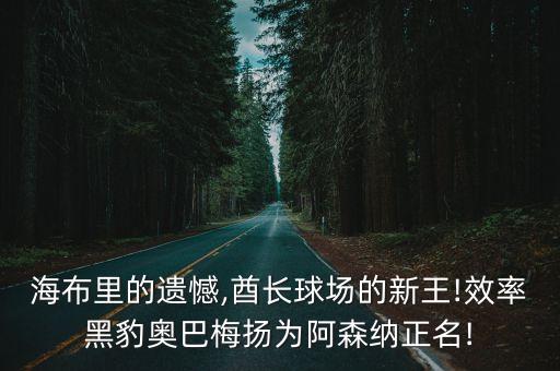 海布里的遺憾,酋長球場(chǎng)的新王!效率黑豹奧巴梅揚(yáng)為阿森納正名!