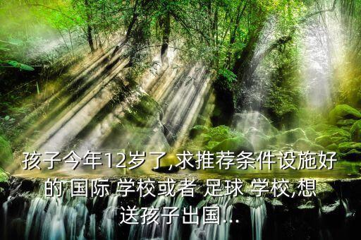 孩子今年12歲了,求推薦條件設(shè)施好的 國(guó)際 學(xué)?；蛘?足球 學(xué)校,想送孩子出國(guó)...