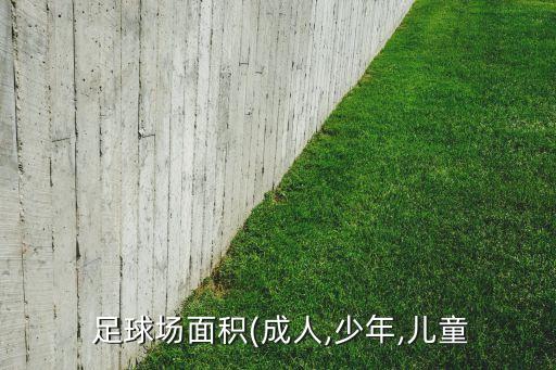 小學(xué)足球長寬場地,小學(xué)7人足球場地標(biāo)準(zhǔn)尺寸