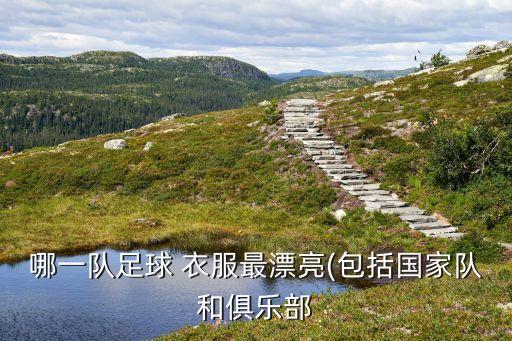 哪一隊(duì)足球 衣服最漂亮(包括國家隊(duì)和俱樂部