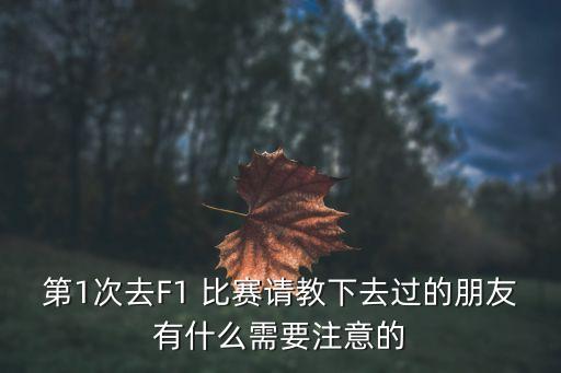 第1次去F1 比賽請(qǐng)教下去過(guò)的朋友有什么需要注意的