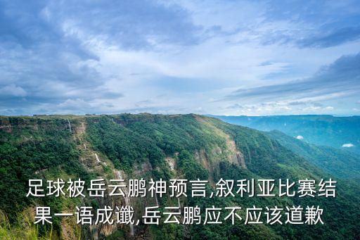  足球被岳云鵬神預言,敘利亞比賽結(jié)果一語成讖,岳云鵬應不應該道歉