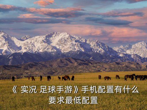 《 實(shí)況 足球手游》手機(jī)配置有什么要求最低配置