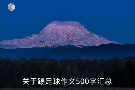 關于踢足球作文500字匯總