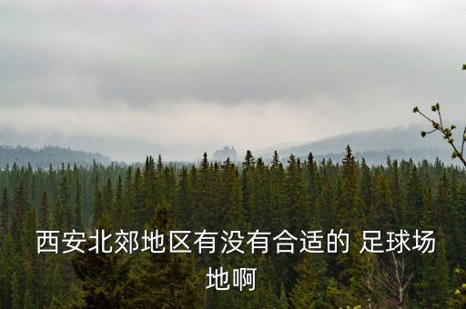  西安北郊地區(qū)有沒有合適的 足球場地啊