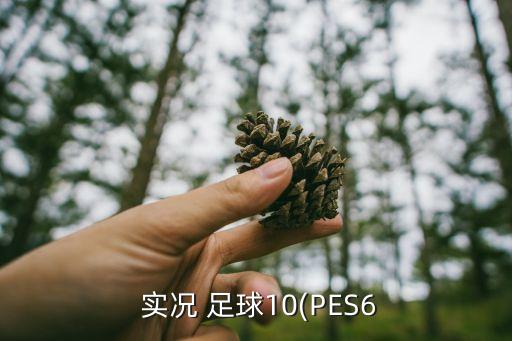 實況足球2016妖人門將推薦