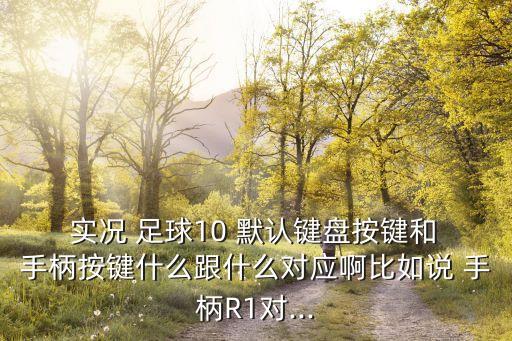  實況 足球10 默認(rèn)鍵盤按鍵和 手柄按鍵什么跟什么對應(yīng)啊比如說 手柄R1對...