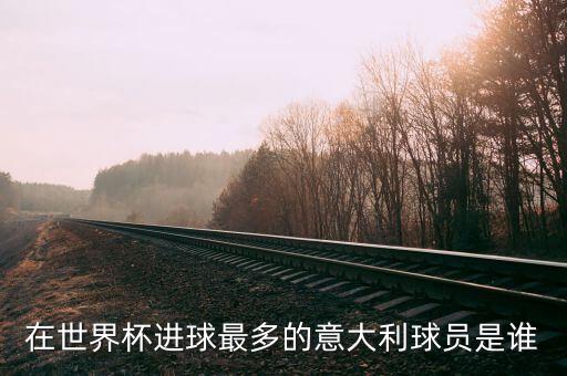 在世界杯進(jìn)球最多的意大利球員是誰(shuí)