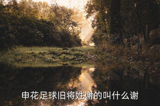 上海申花足球隊(duì)20年前名單