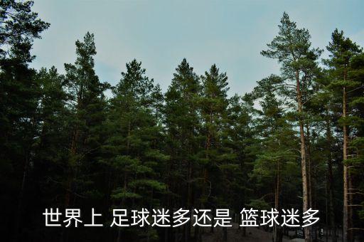 喜歡足球和籃球那個(gè)多,美國(guó)人喜歡足球還是籃球