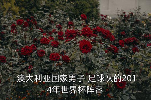  澳大利亞國家男子 足球隊(duì)的2014年世界杯陣容