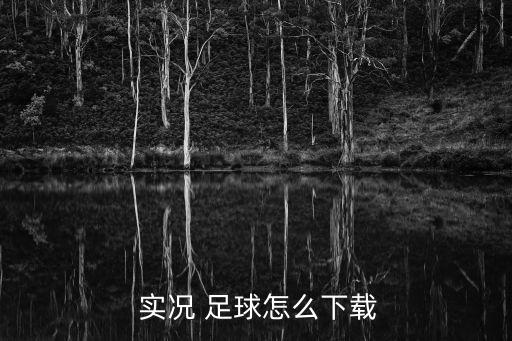 實(shí)況足球7是日語解說