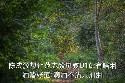 中國(guó)足球u16隊(duì)員