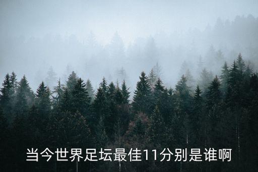 當(dāng)今世界足壇最佳11分別是誰(shuí)啊