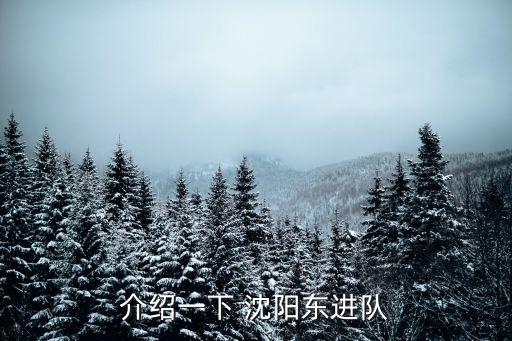 介紹一下 沈陽東進(jìn)隊