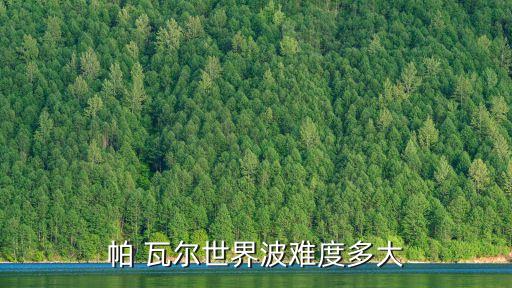 法國足球運動員帕瓦爾