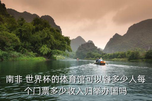 南非 世界杯的體育館可以容多少人每個門票多少收入歸舉辦國嗎