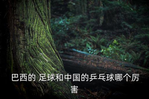  巴西的 足球和中國的乒乓球哪個厲害