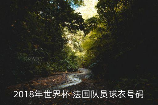 坎特 法國隊(duì) 足球,法國隊(duì)大名單為什么沒有坎特
