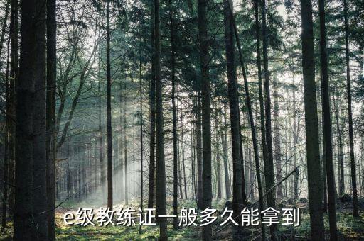 足球E級班課件,足球規(guī)則ppt課件免費(fèi)