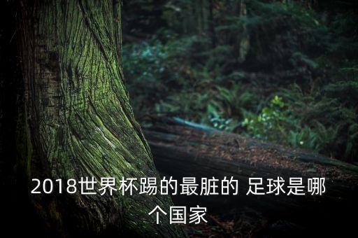 智利塞爾維亞足球國家隊(duì),智利男子足球國家隊(duì)