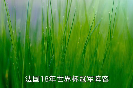  法國18年世界杯冠軍陣容