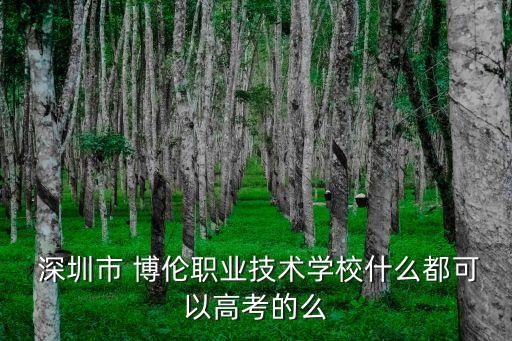 深圳博倫職校足球隊