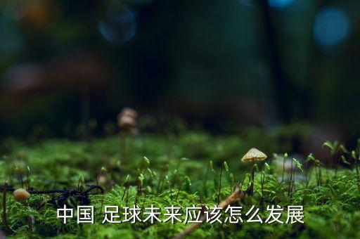 中國 足球未來應該怎么發(fā)展