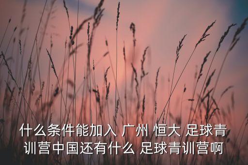 什么條件能加入 廣州 恒大 足球青訓營中國還有什么 足球青訓營啊