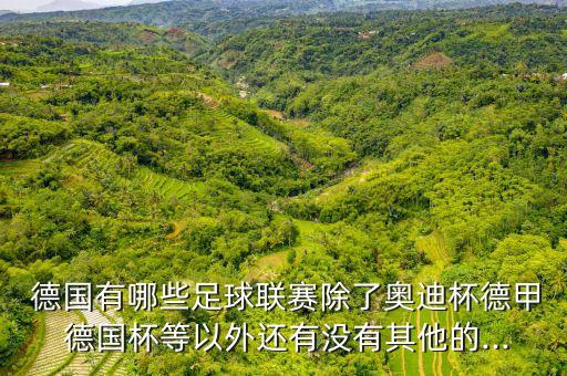  德國(guó)有哪些足球聯(lián)賽除了奧迪杯德甲 德國(guó)杯等以外還有沒有其他的...