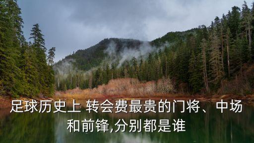 世界前十轉(zhuǎn)會費(fèi)足球員