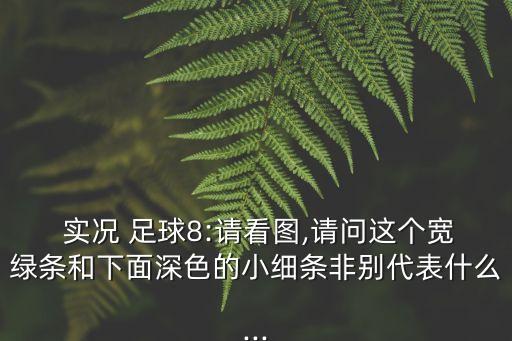 實(shí)況足球2013體力條