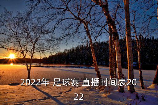 2022年 足球賽 直播時間表2022