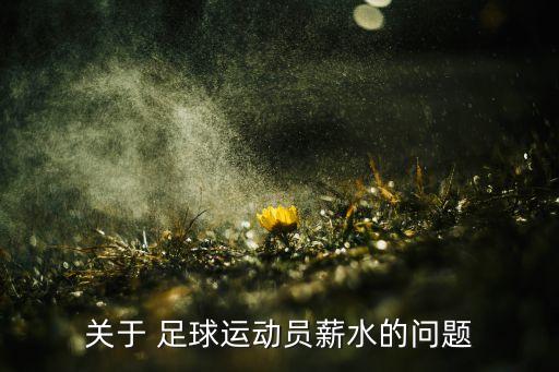 關(guān)于 足球運(yùn)動(dòng)員薪水的問題