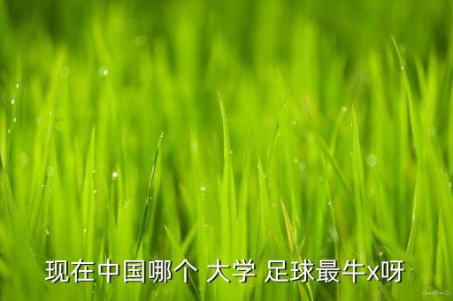現(xiàn)在中國哪個 大學 足球最牛x呀