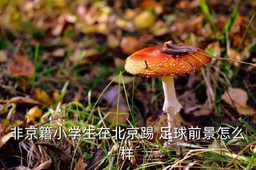 職業(yè)足球運(yùn)動(dòng)員招聘,中國職業(yè)足球運(yùn)動(dòng)員有多少人