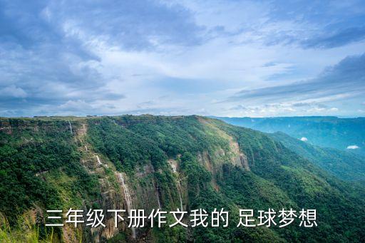 三年級(jí)下冊(cè)作文我的 足球夢(mèng)想