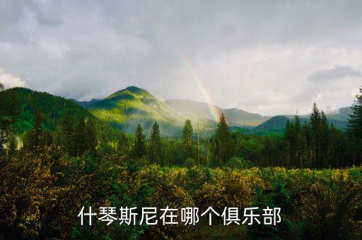什琴斯尼在哪個俱樂部