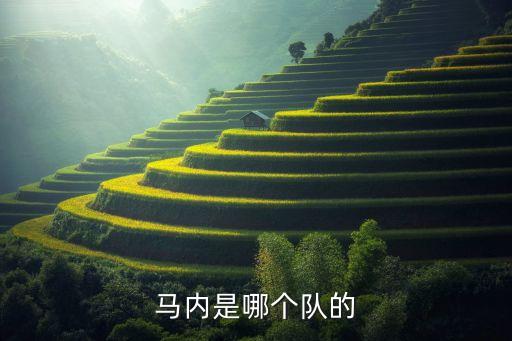 馬內(nèi)是哪個隊的