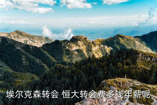 埃爾克森轉(zhuǎn)會(huì) 恒大轉(zhuǎn)會(huì)費(fèi)多錢年薪呢