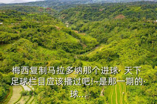 梅西復(fù)制馬拉多納那個(gè)進(jìn)球· 天下 足球欄目應(yīng)該播過(guò)吧!~是那一期的·球...