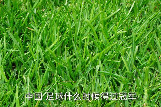 中國 足球什么時(shí)候得過冠軍